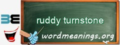 WordMeaning blackboard for ruddy turnstone